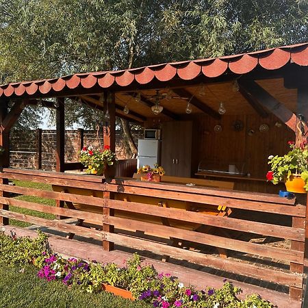Casa Carp Calarasi Hotel Exterior foto